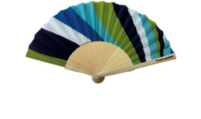 Image de AIR CARAIBES - éventail bleu et vert